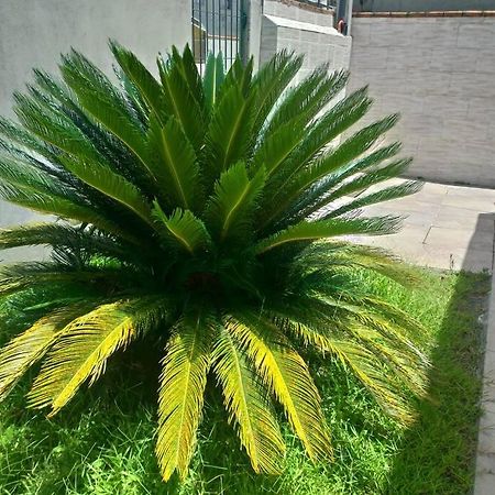 Casa Agradavel Em Camboriu Com Estacionamento No Patio Villa Kültér fotó
