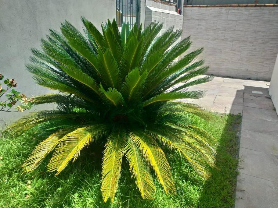 Casa Agradavel Em Camboriu Com Estacionamento No Patio Villa Kültér fotó